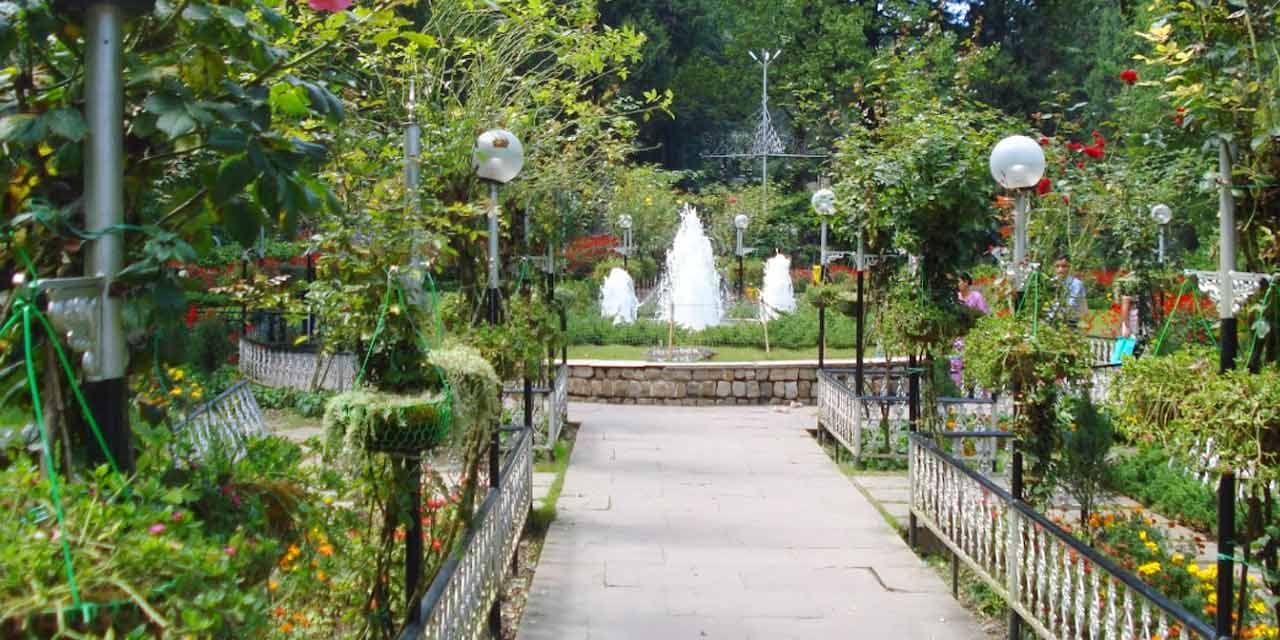 Company Garden: