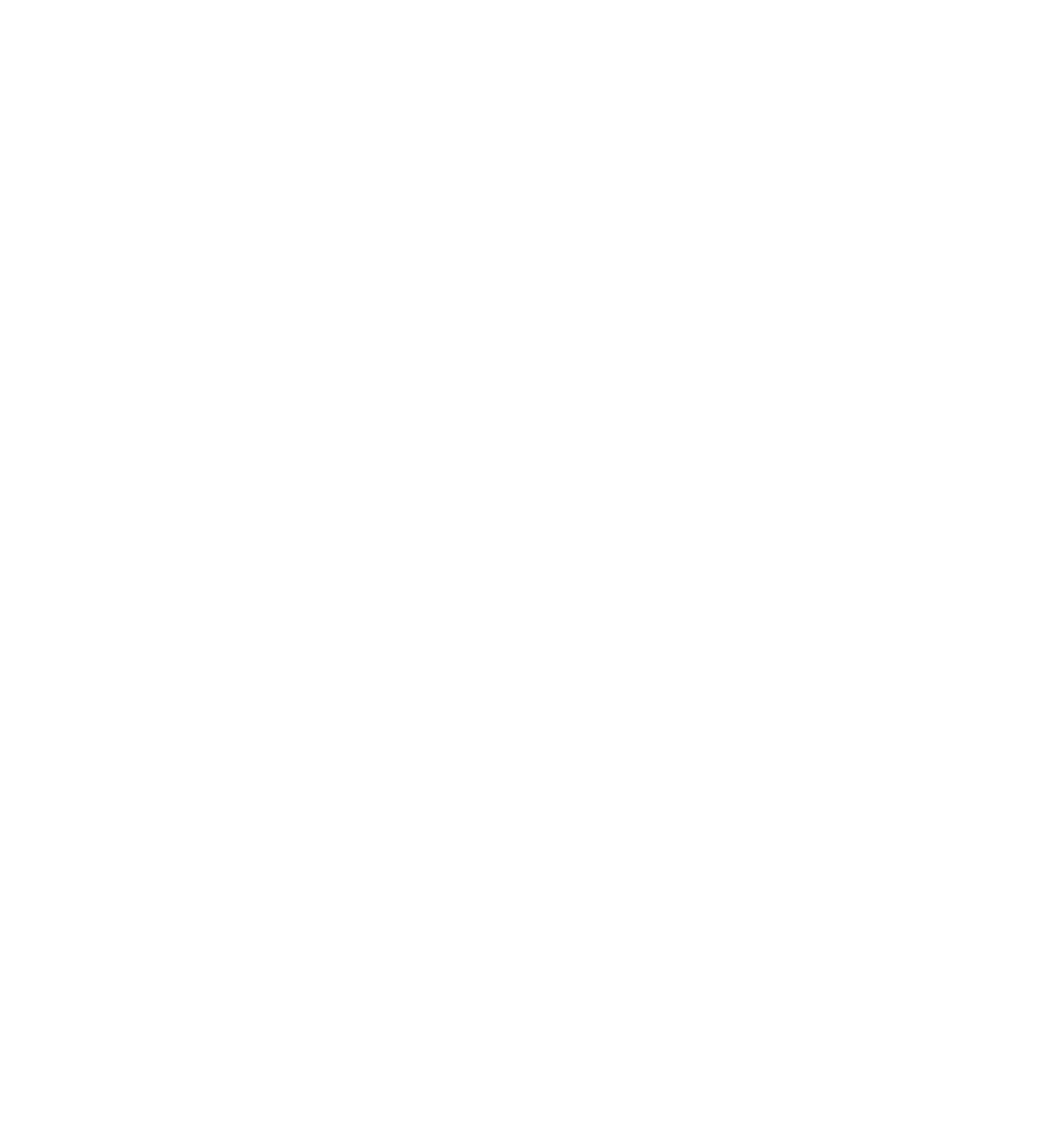 WebHackSolutions