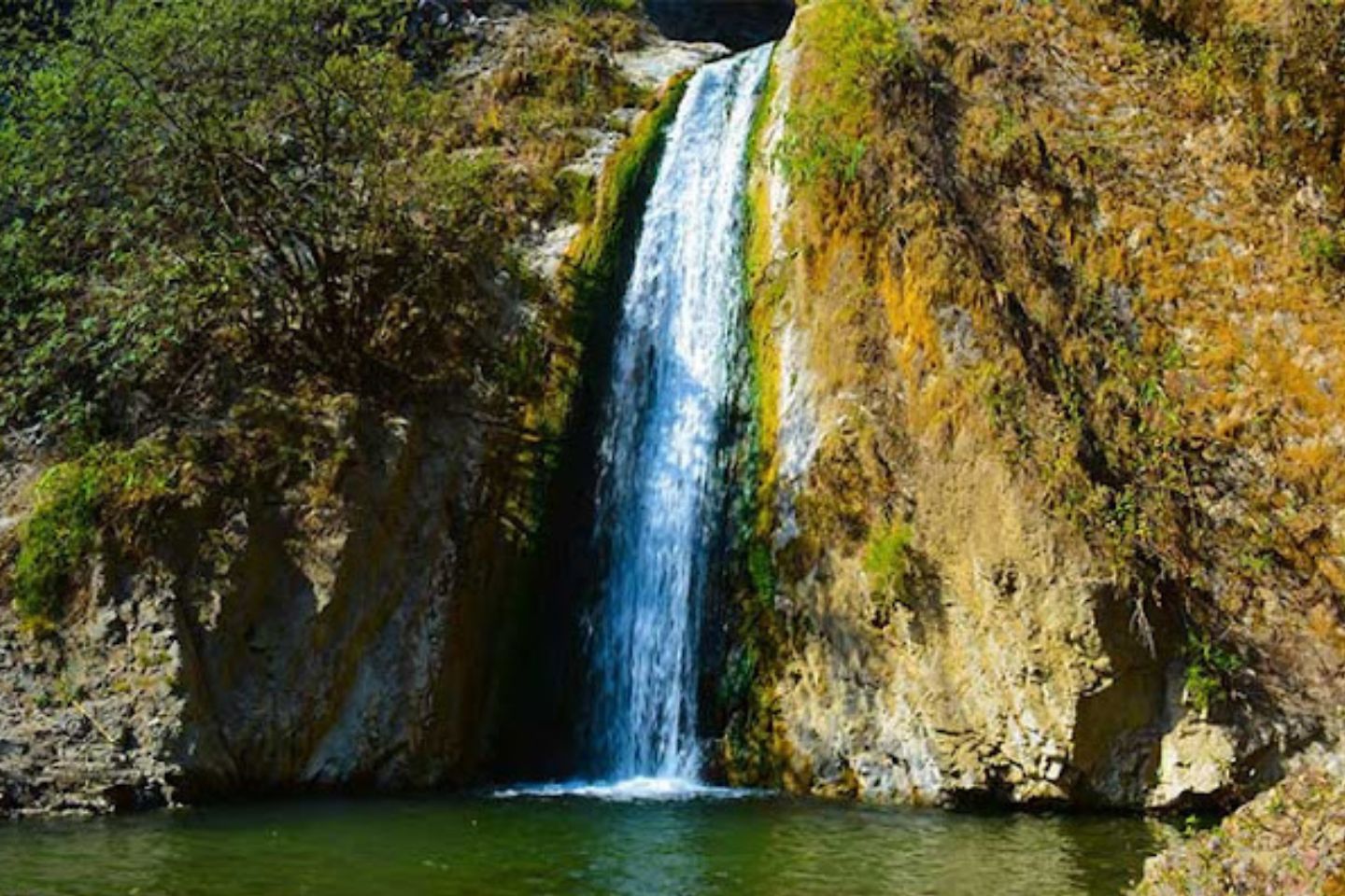 Jharipani Falls: