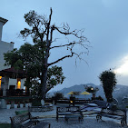 Royal Orchid Fort Resort 13