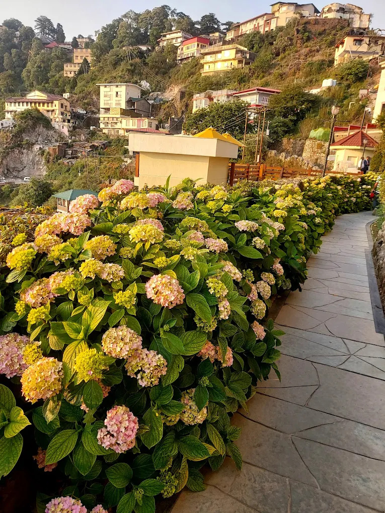 Royal Orchid Fort Resort 16
